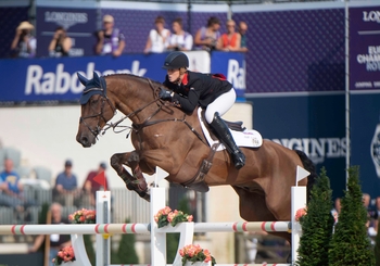 GB mainstay Hearts Destiny passes away after short illness GB mainstay Hearts Destiny passes away after short illness